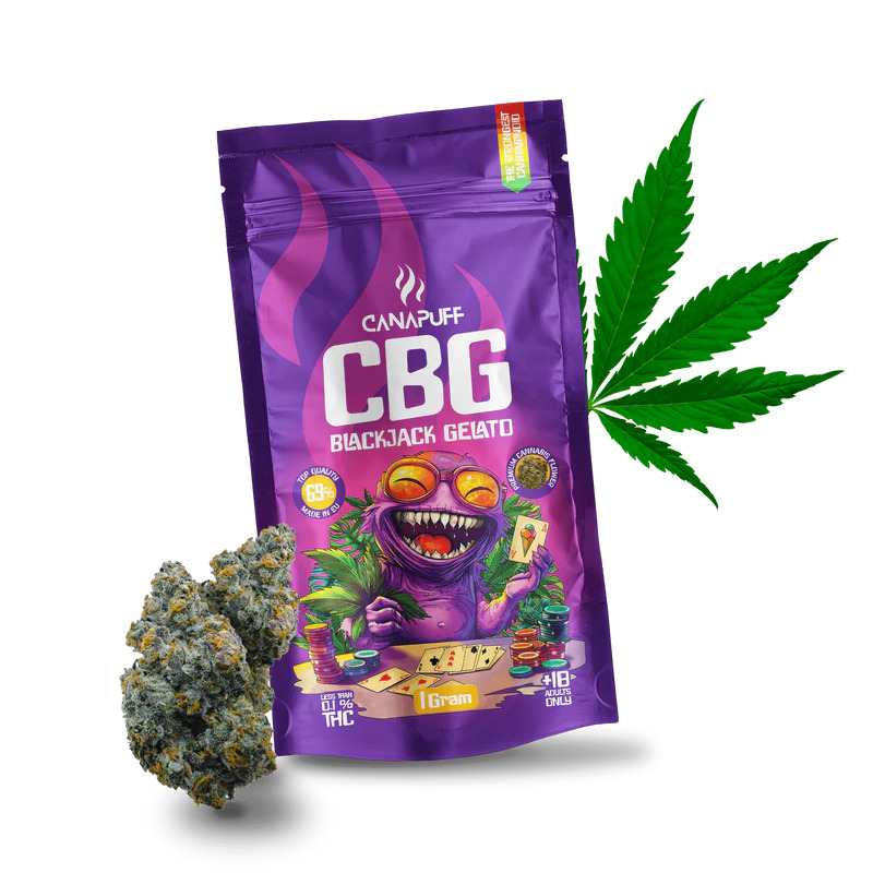 CBG Kvety Blackjack Gelato 69%