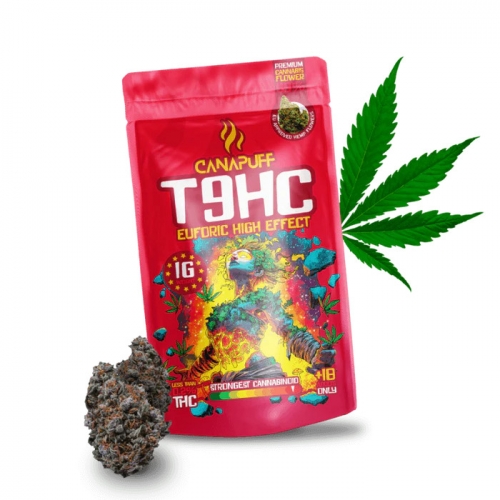 T9HC Kvety Euforic 99% - Canapuff 1g