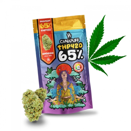 THP420 Kvety Amnesia 65% - Canapuff 1g