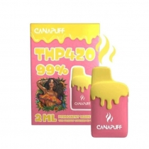Permanent Marker 99% THP420 - Canapuff - Jednor?zovka 2ml