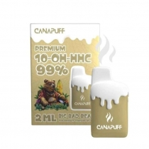 Big Bad Bear 99% 10-OH-HHC - Canapuff - Jednor?zovka 2ml